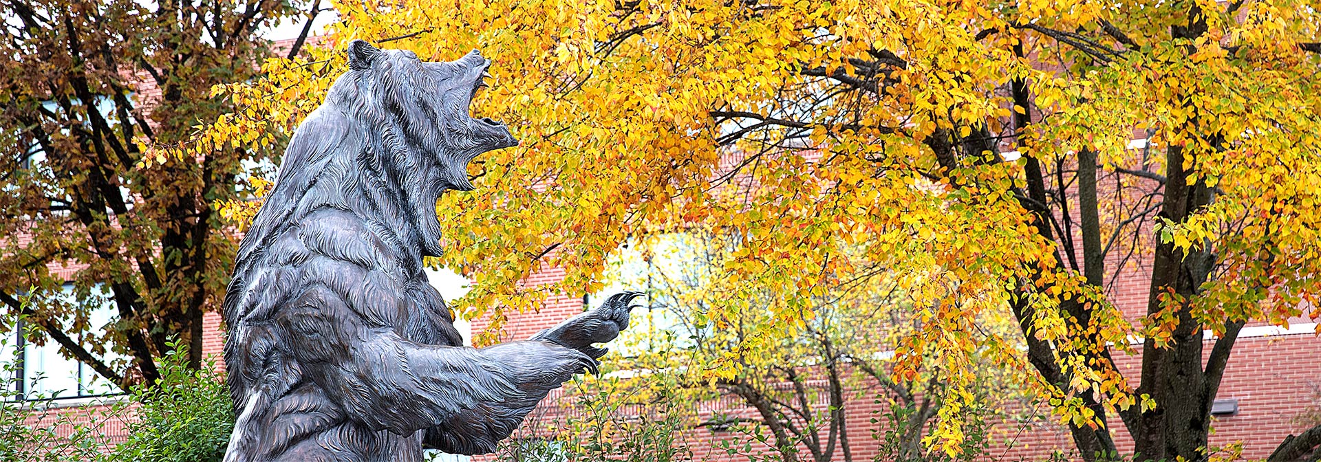 The grizzly statue with fall trees in the background
