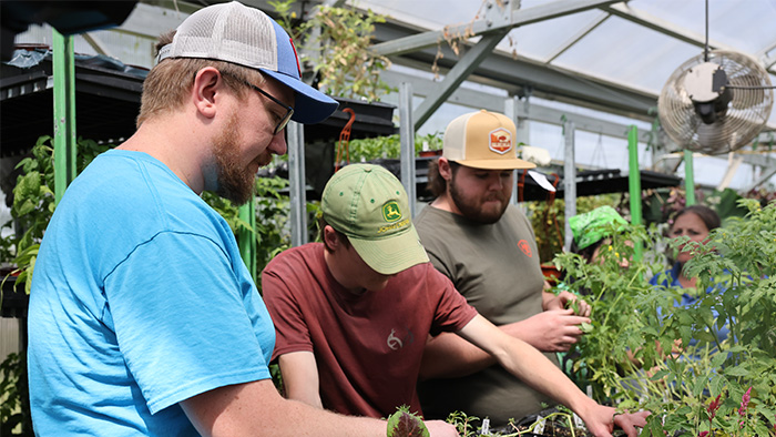 Three students work in the Greenhouse