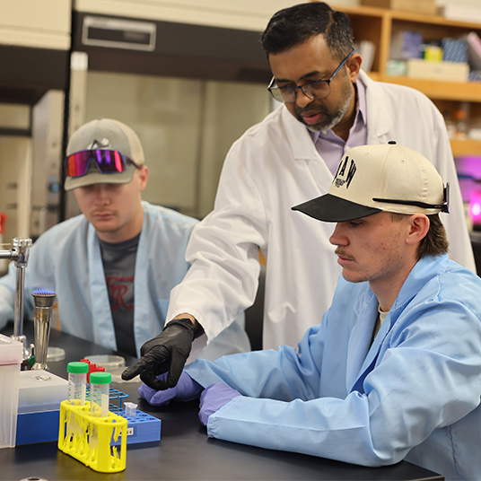 Students work on the research project with professor Rongali 