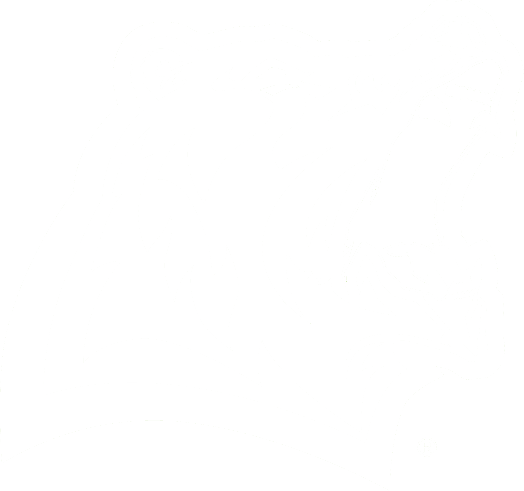 Missouri State-West Plains white Grizzly head logo