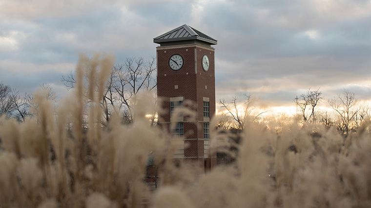 Bell Tower in the Fall
